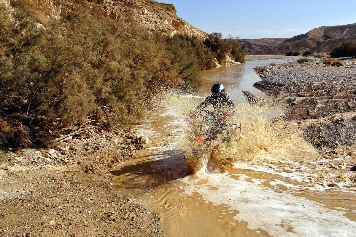 שבילים: פארן – ערוד