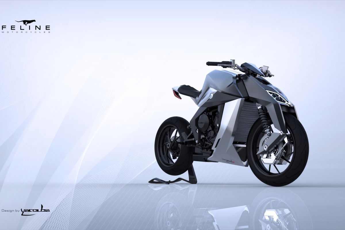 סטריטפייטר קונספט: יאקובה מציג את ה-FELINE One