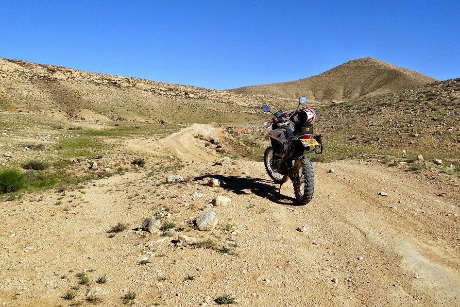 שבילים: עקרב – אלות