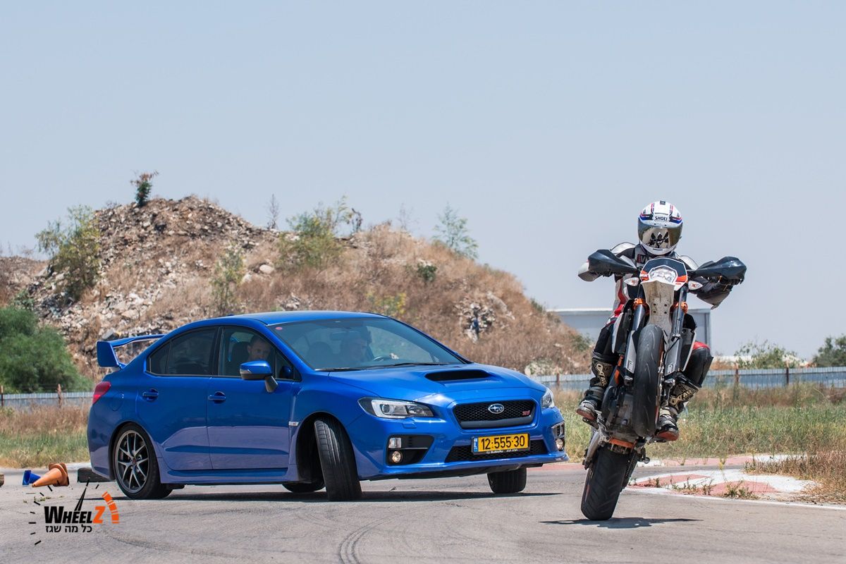 יוצאים מהכלוב! (וידאו)