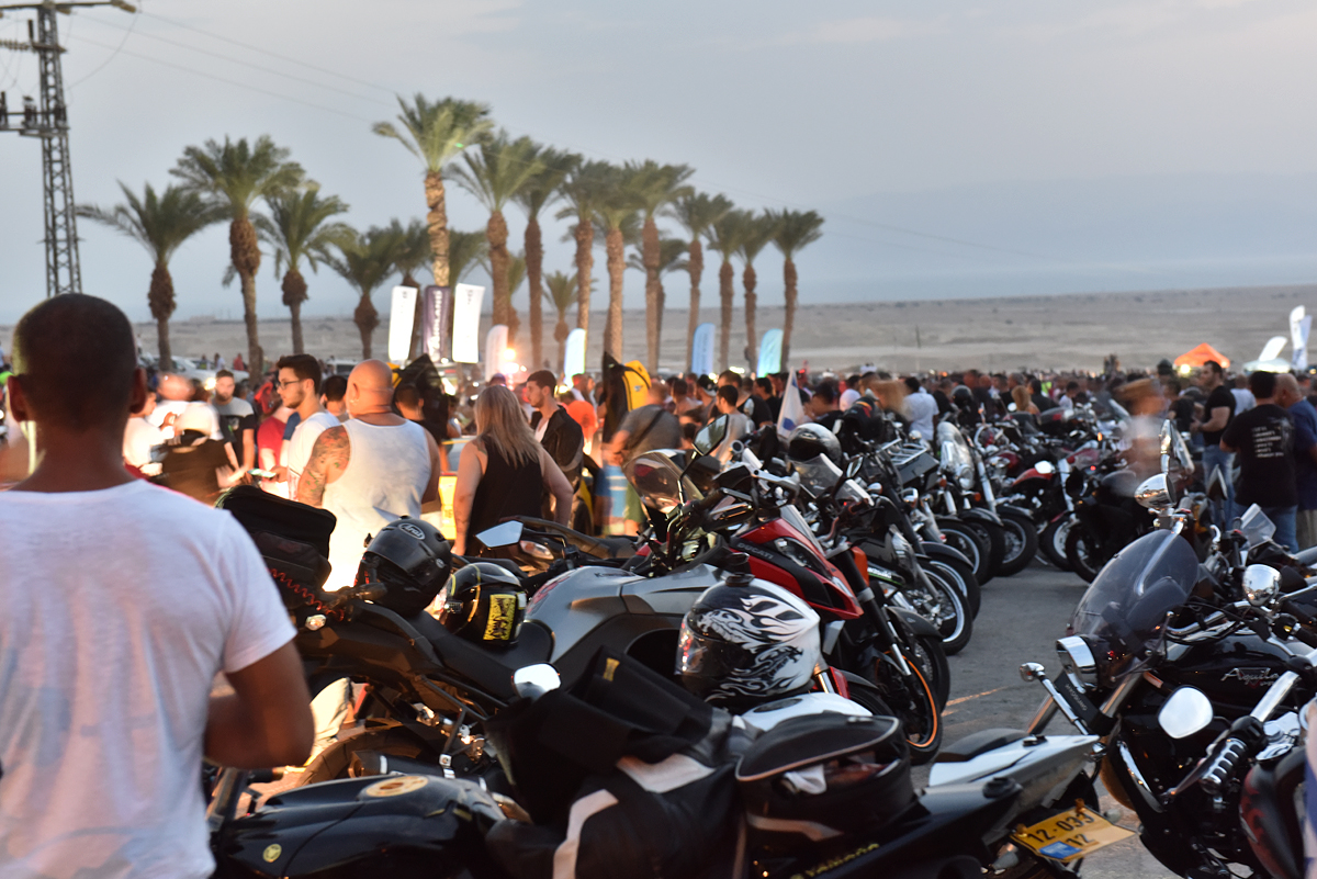 מצדה 2015 – אבולוציה