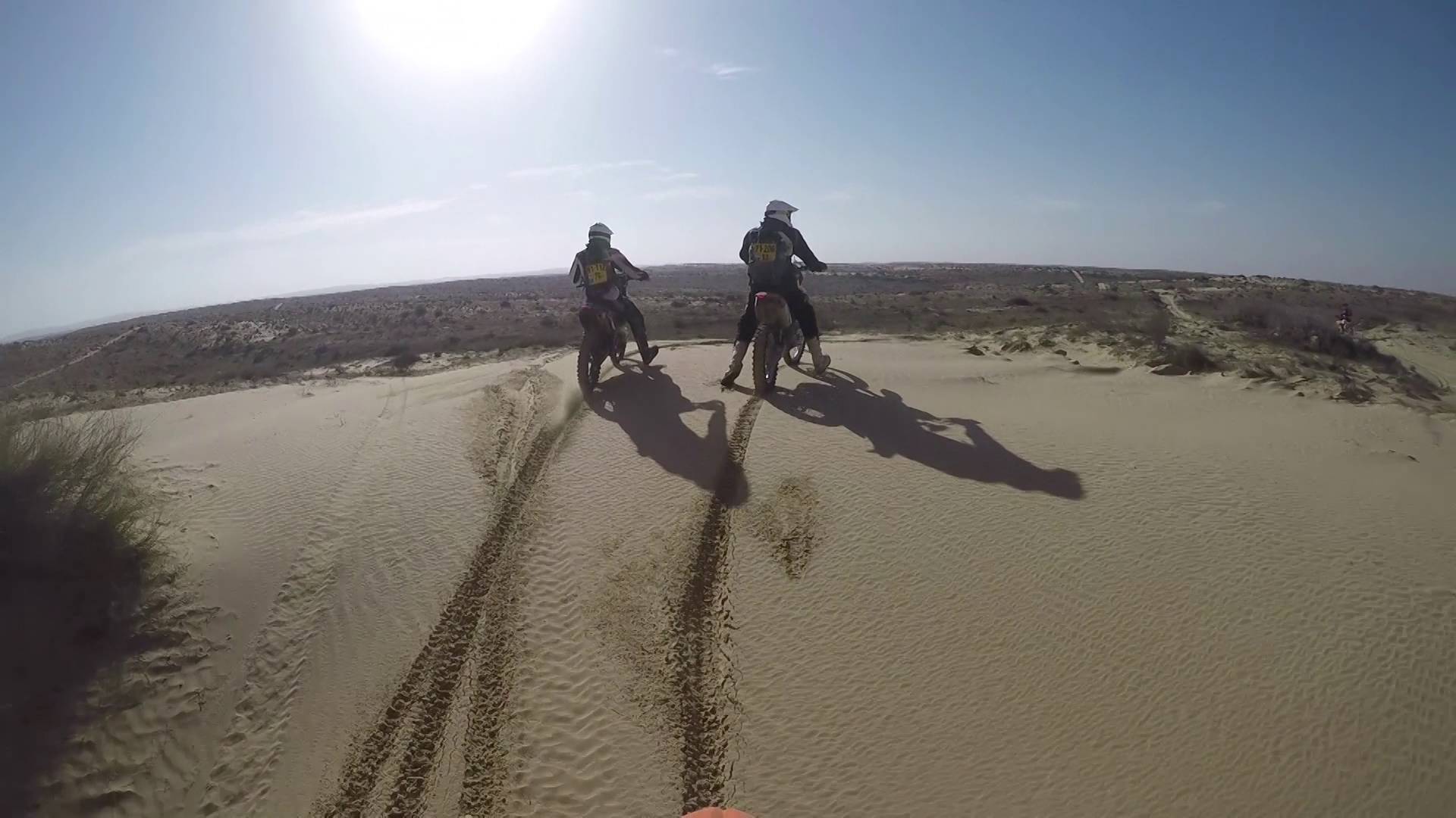 סטיב אוסטין בעזוז