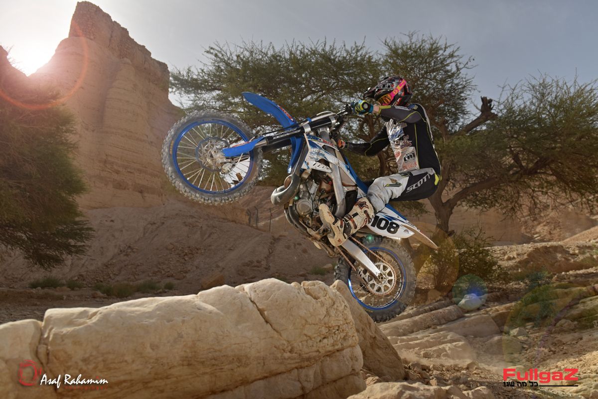 גלריה: קורי נמט בזריחה בים המלח