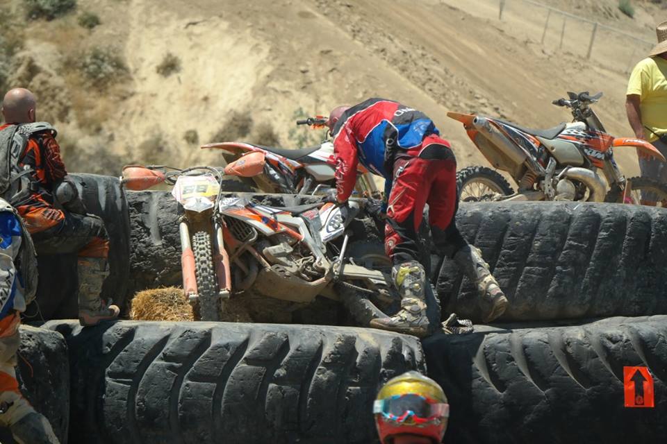 יורם לביא מסיים ראשון בכלב שעומד אחרון!