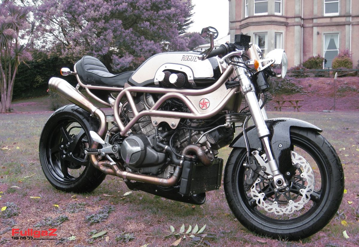 הנוכל של רוי