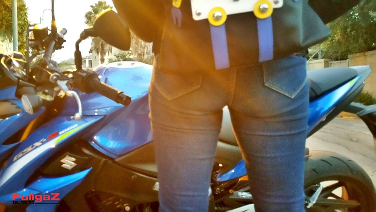 המדריך למורכבת המגונדרת