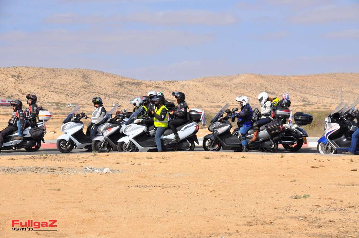 מעשה בקרנף ושמו זהבה