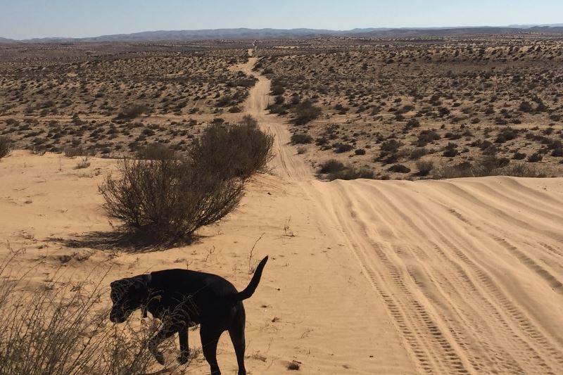 בשישי: ראלי-רייד באחה אשלים
