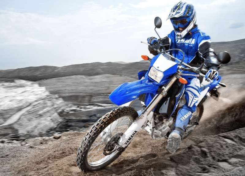 מטרו: עדכוני מחירים ומבצעים לינואר