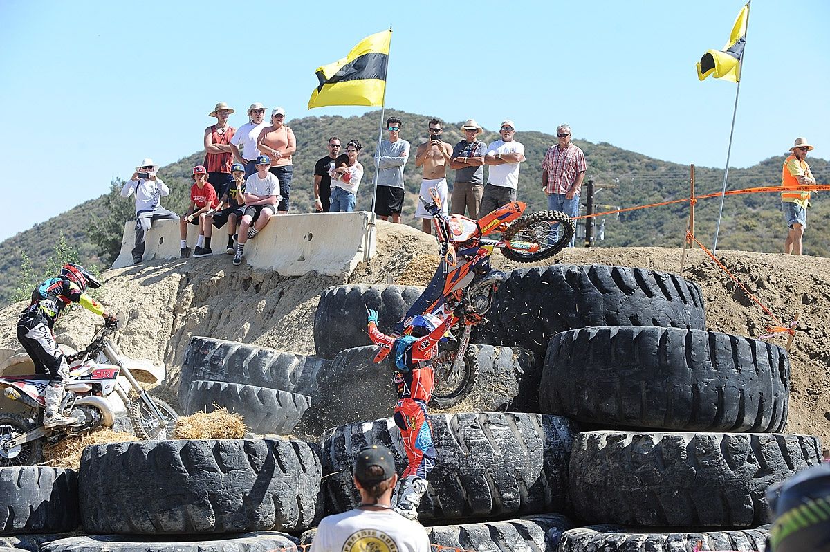 ענפים בעולם: הכלב האחרון שעומד
