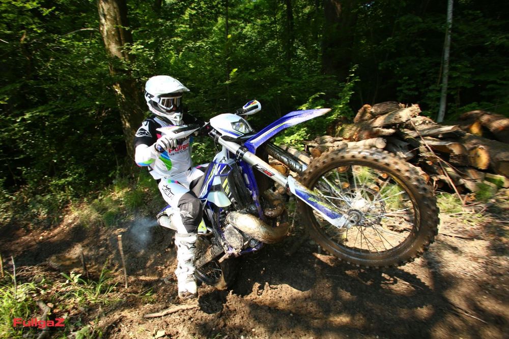 שרקו משיקה בישראל את דגמי 2020