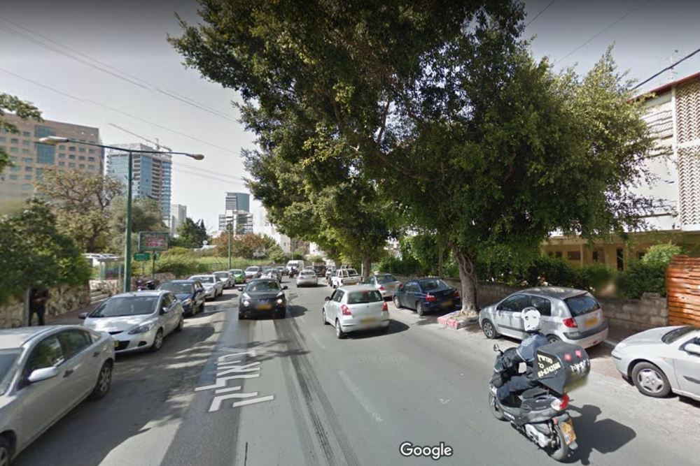 החליק על פירות עץ פיקוס ויצא זכאי במשפט