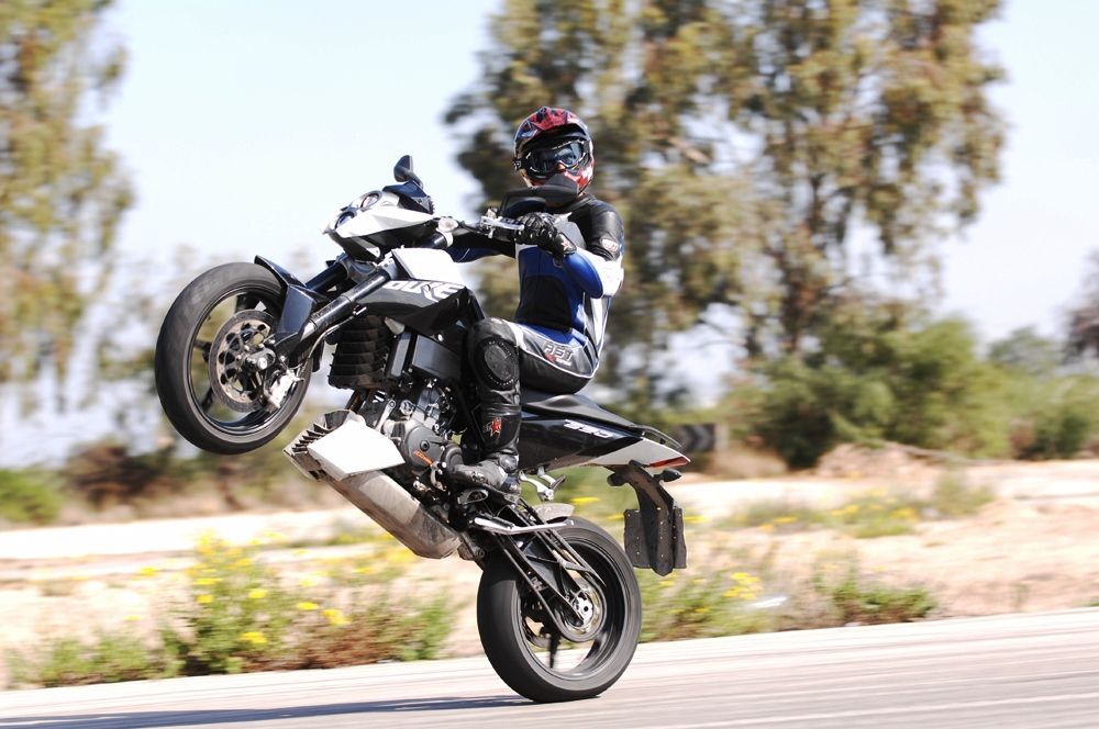 ק.ט.מ דיוק: משפחה דוכסית (וחוליגנית) ותיקה ומסועפת