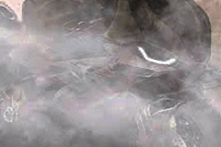 ב.מ.וו: גרסה חדשה ל-S1000RR – למסלול