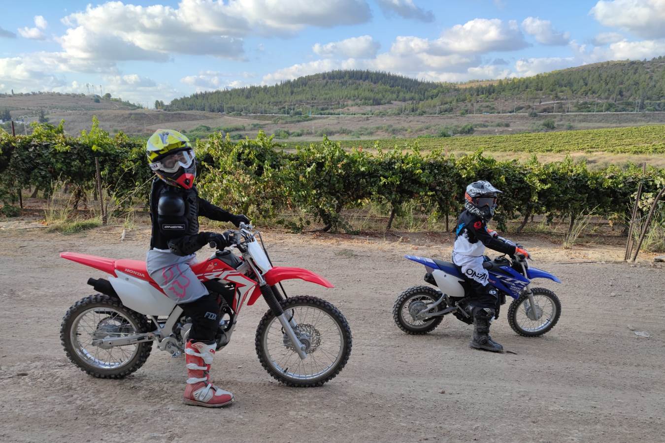 כמה כלים אפורים נמכרים בישראל?