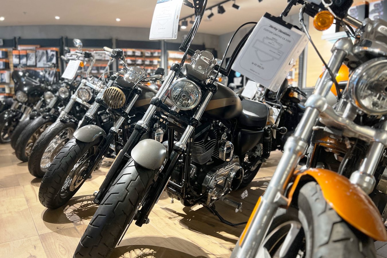 מבצעי יום הבחירות בטריומף ובהארלי דיווידסון