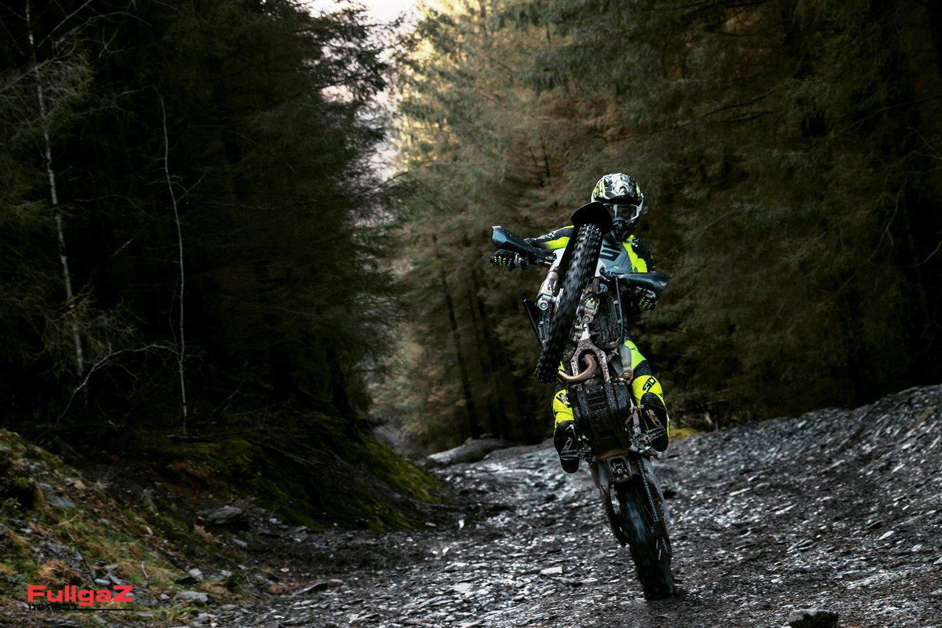 טיזר: טריומף אנדורו 250 ו-450 סמ"ק