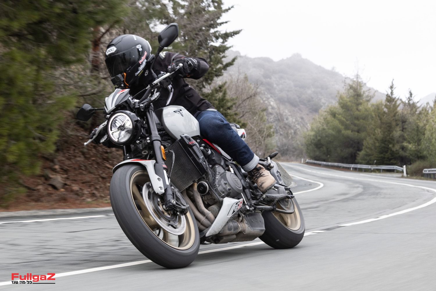 טריומף טרידנט 800 בהשקה עולמית